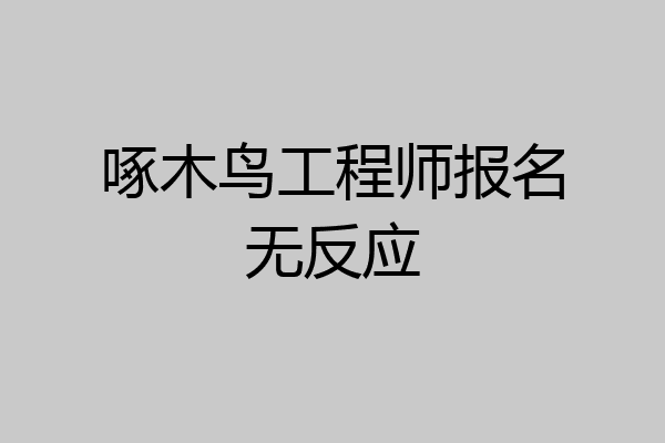 啄木鸟工程师报名无反应