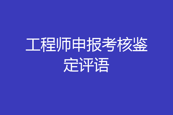 工程师申报考核鉴定评语