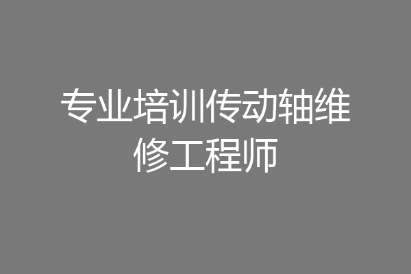 专业培训传动轴维修工程师
