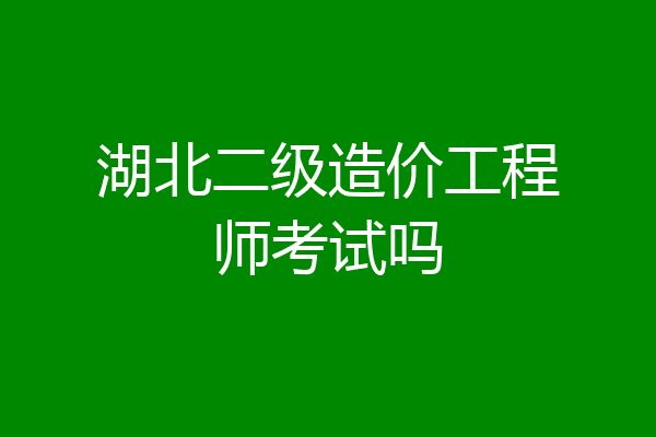 湖北二级造价工程师考试吗