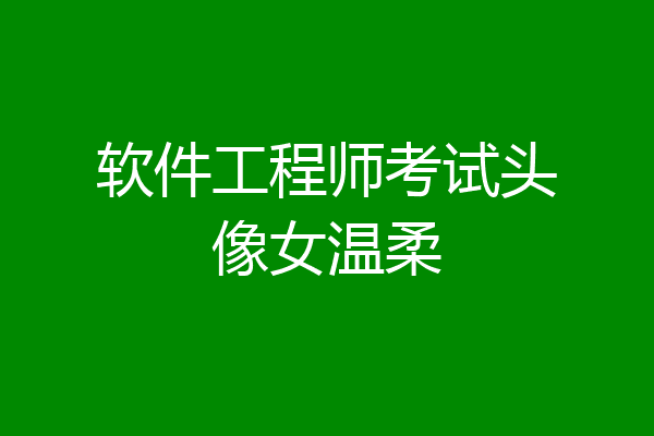 软件工程师考试头像女温柔