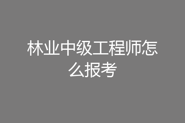 林业中级工程师怎么报考