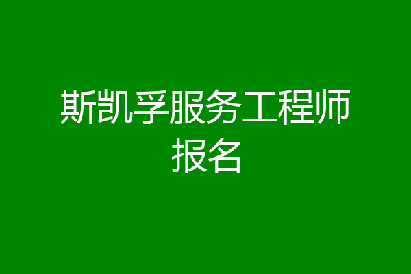 斯凯孚服务工程师报名