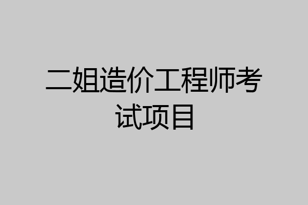 二姐造价工程师考试项目