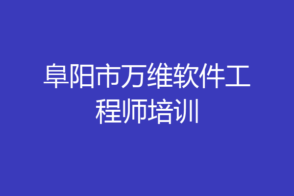 阜阳市万维软件工程师培训