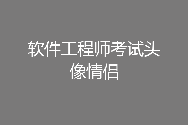 软件工程师考试头像情侣
