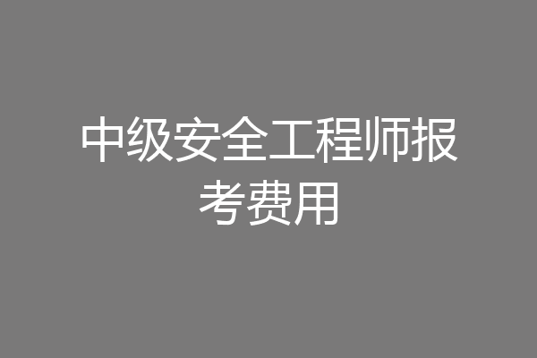 中级安全工程师报考费用