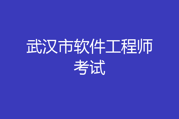 武汉市软件工程师考试