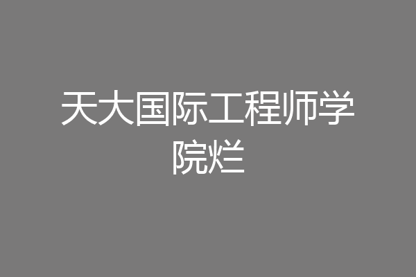 天大国际工程师学院烂