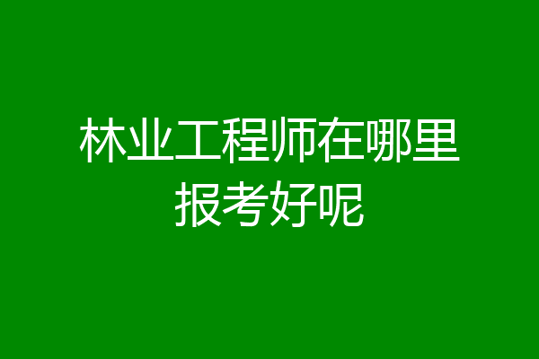 林业工程师在哪里报考好呢