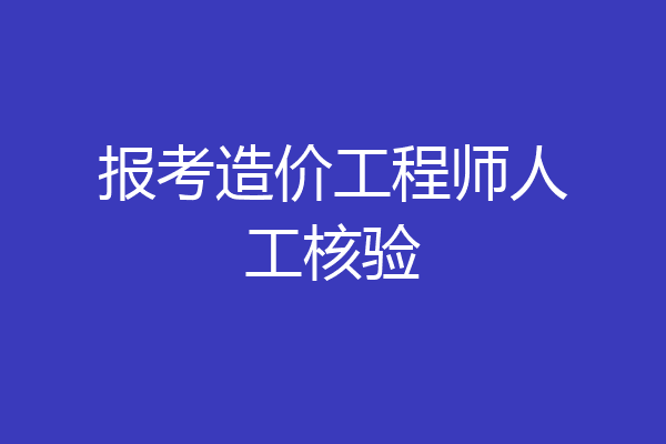 报考造价工程师人工核验