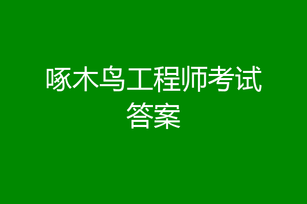 啄木鸟工程师考试答案