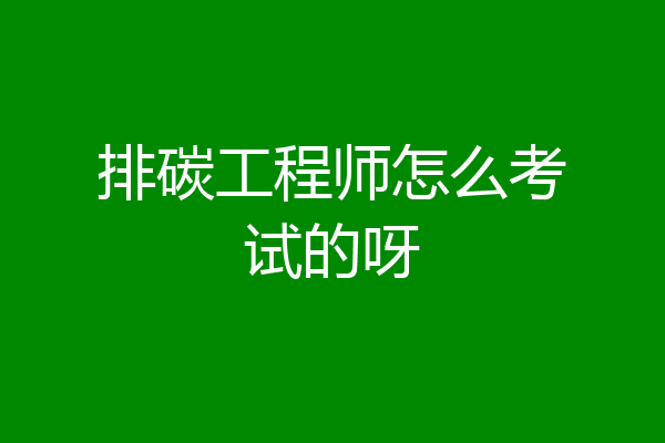 排碳工程师怎么考试的呀