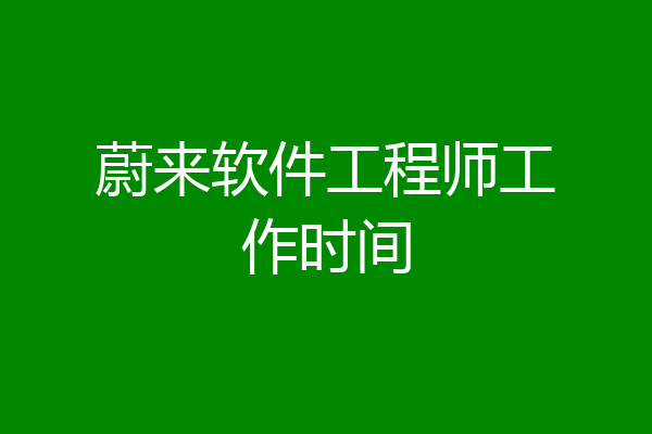 蔚来软件工程师工作时间