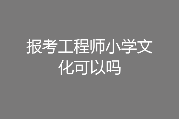 报考工程师小学文化可以吗