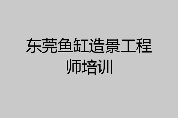 东莞鱼缸造景工程师培训