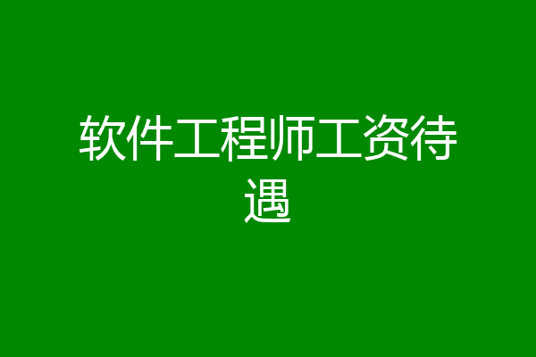 软件工程师工资待遇