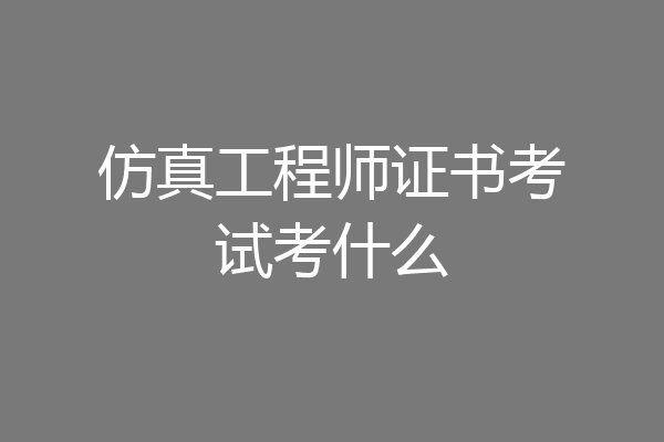 仿真工程师证书考试考什么
