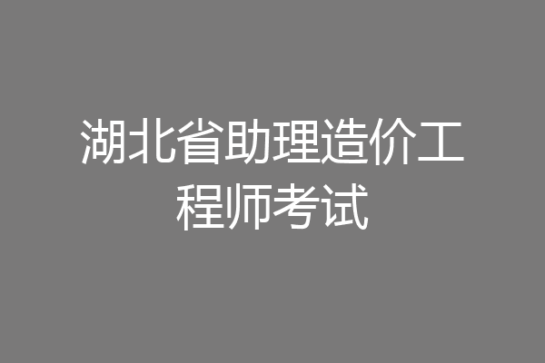 湖北省助理造价工程师考试