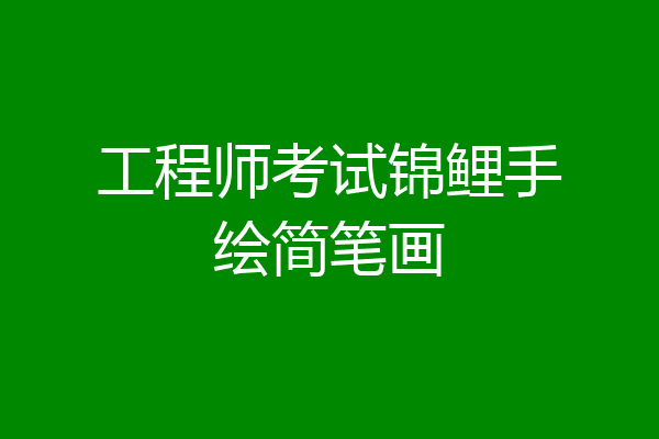 工程师考试锦鲤手绘简笔画
