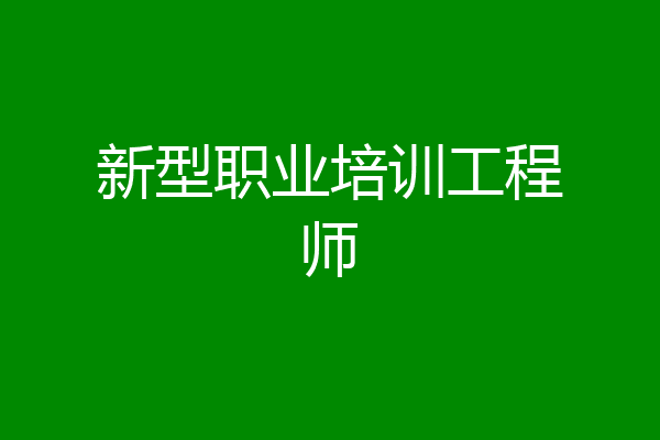 新型职业培训工程师