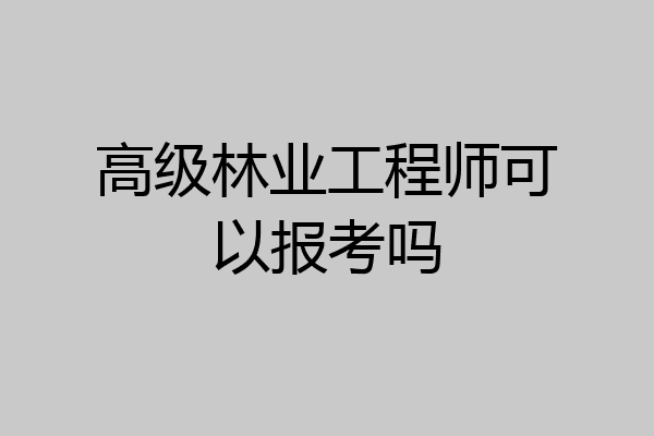 高级林业工程师可以报考吗