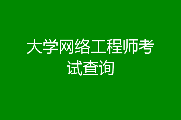 大学网络工程师考试查询