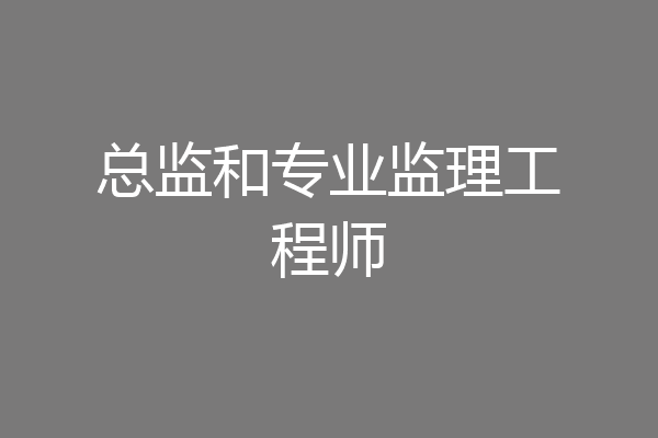 总监和专业监理工程师