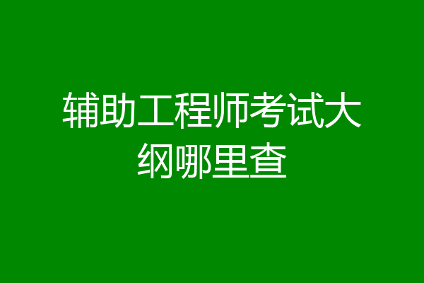 辅助工程师考试大纲哪里查