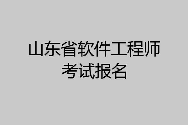 山东省软件工程师考试报名