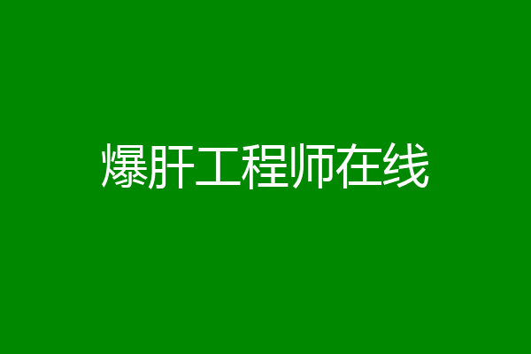 爆肝工程师在线