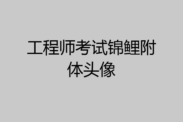 工程师考试锦鲤附体头像