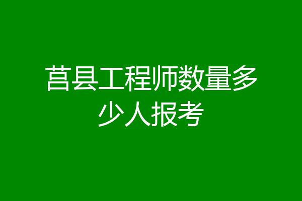 莒县工程师数量多少人报考