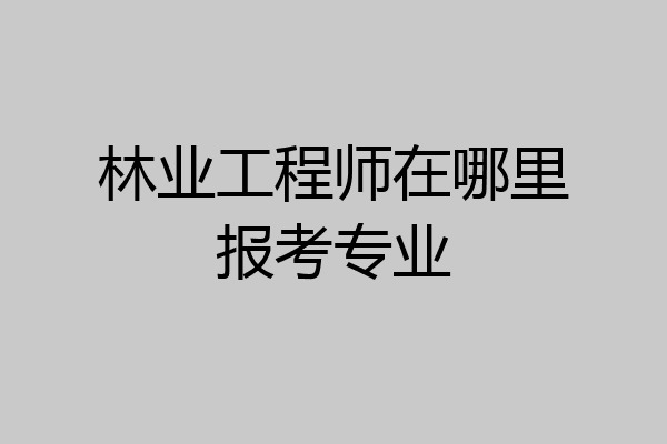 林业工程师在哪里报考专业