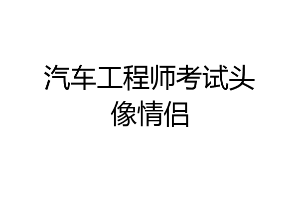 汽车工程师考试头像情侣