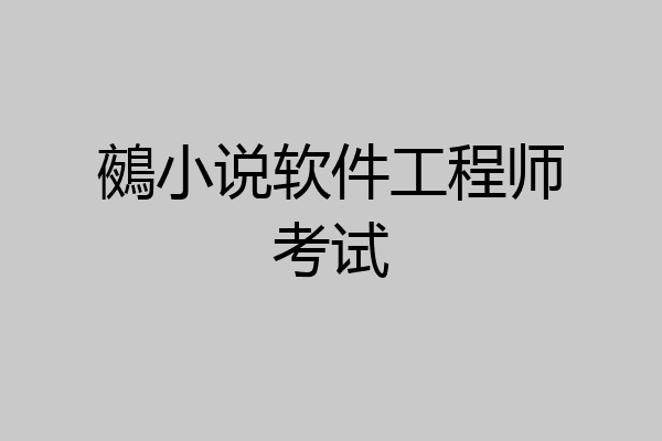 鵺小说软件工程师考试