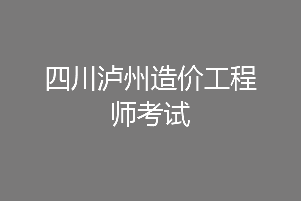 四川泸州造价工程师考试