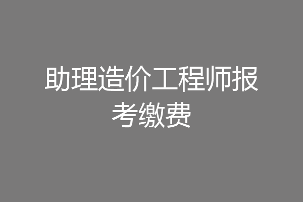 助理造价工程师报考缴费