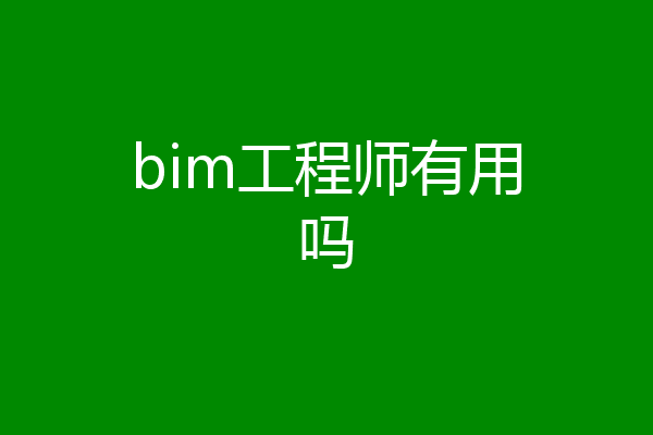 bim工程师有用吗