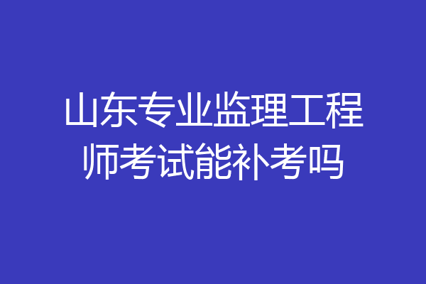山东专业监理工程师考试能补考吗