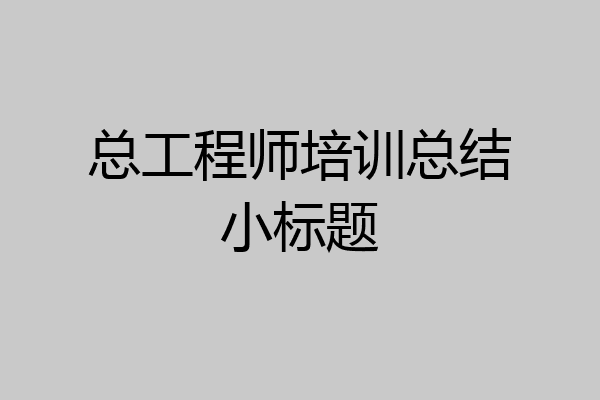 总工程师培训总结小标题