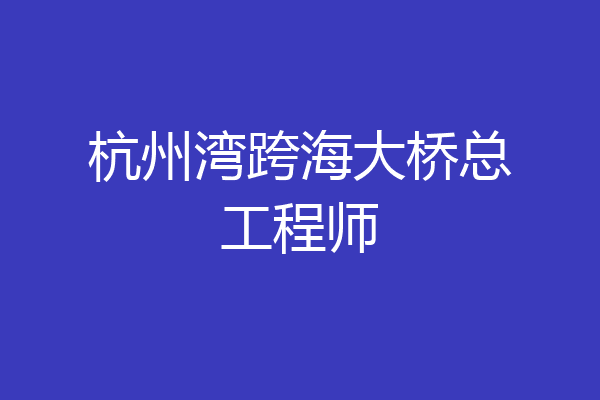 杭州湾跨海大桥总工程师