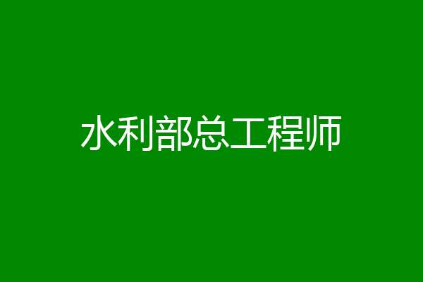 水利部总工程师