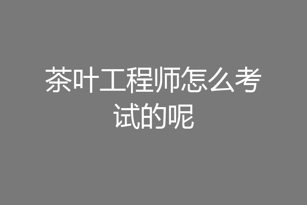 茶叶工程师怎么考试的呢
