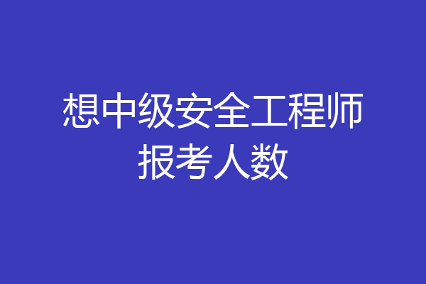 想中级安全工程师报考人数