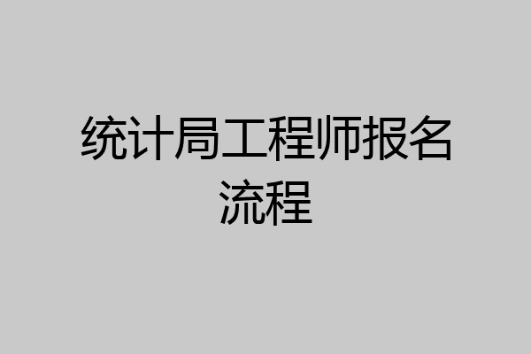 统计局工程师报名流程