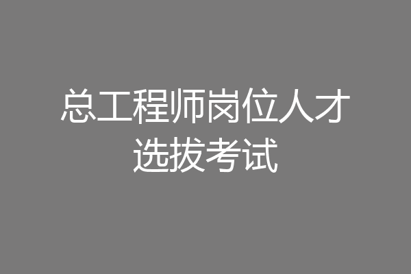 总工程师岗位人才选拔考试