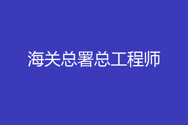 海关总署总工程师