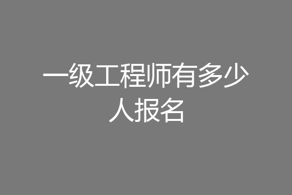 一级工程师有多少人报名