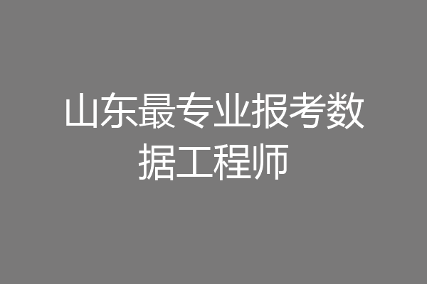 山东最专业报考数据工程师